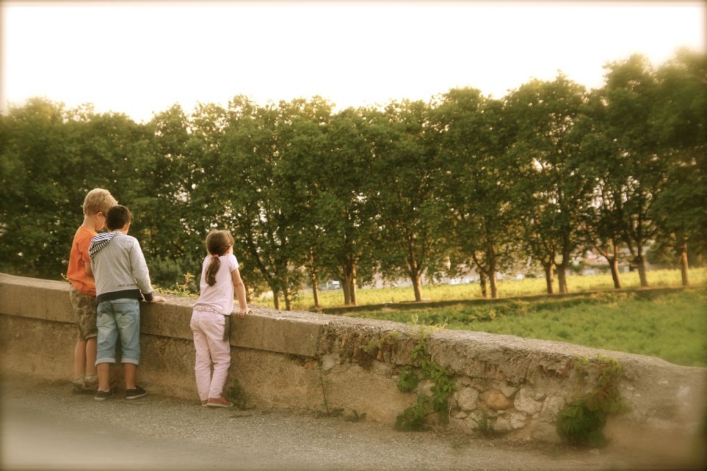 Summer Languedoc 