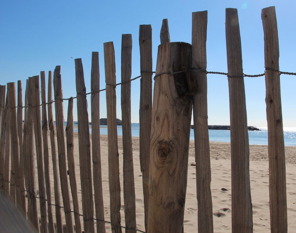 Fence & Beach