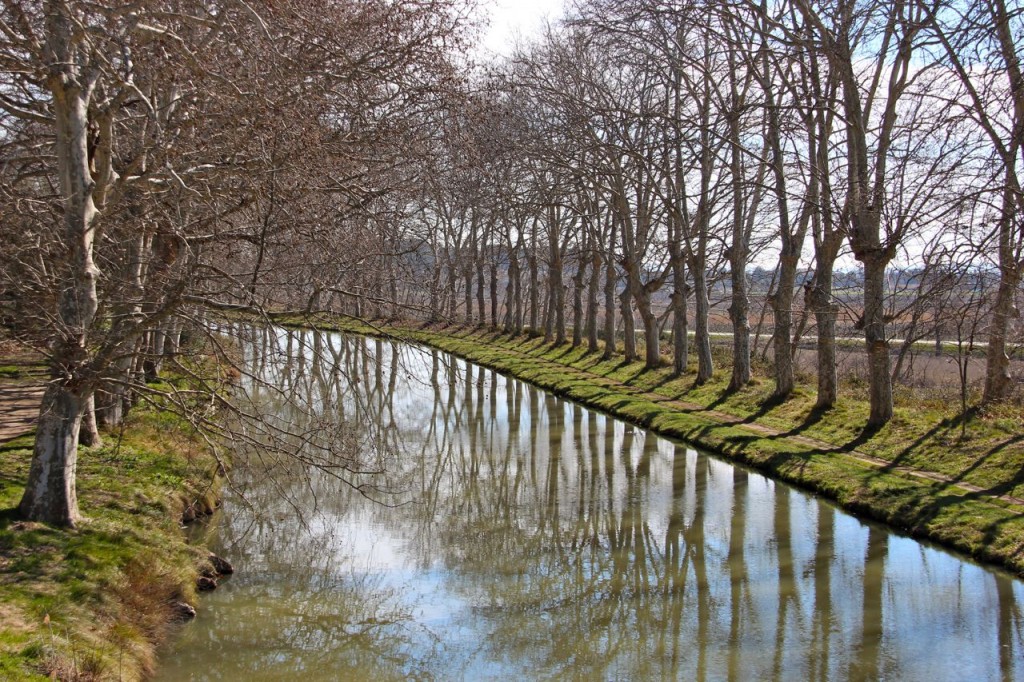 Canal du Midi outside Capestang towards Argiliers