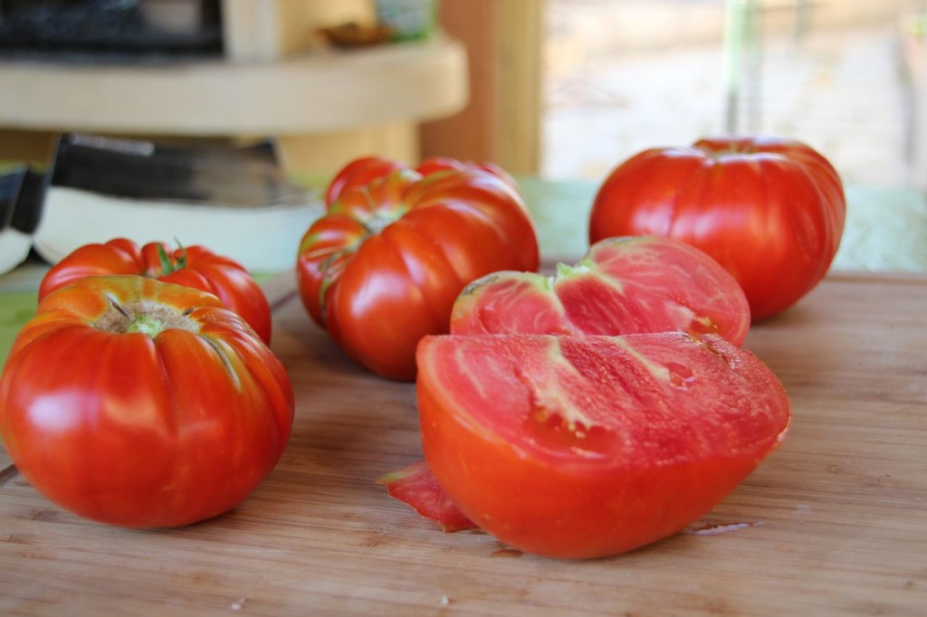 nothing like fresh garden tomatoes