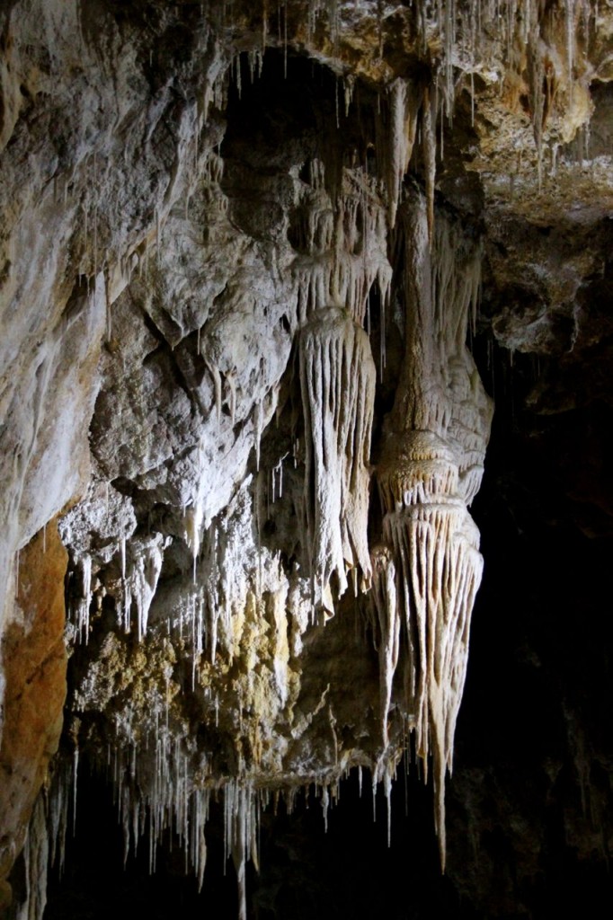 Grotte de la Clamouse 