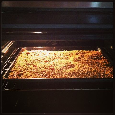 rolled oats in oven