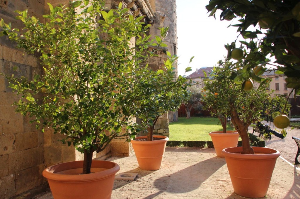 Narbonne Cathedral Gardens 
