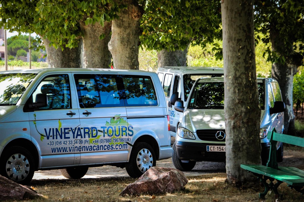 wine tours Languedoc 