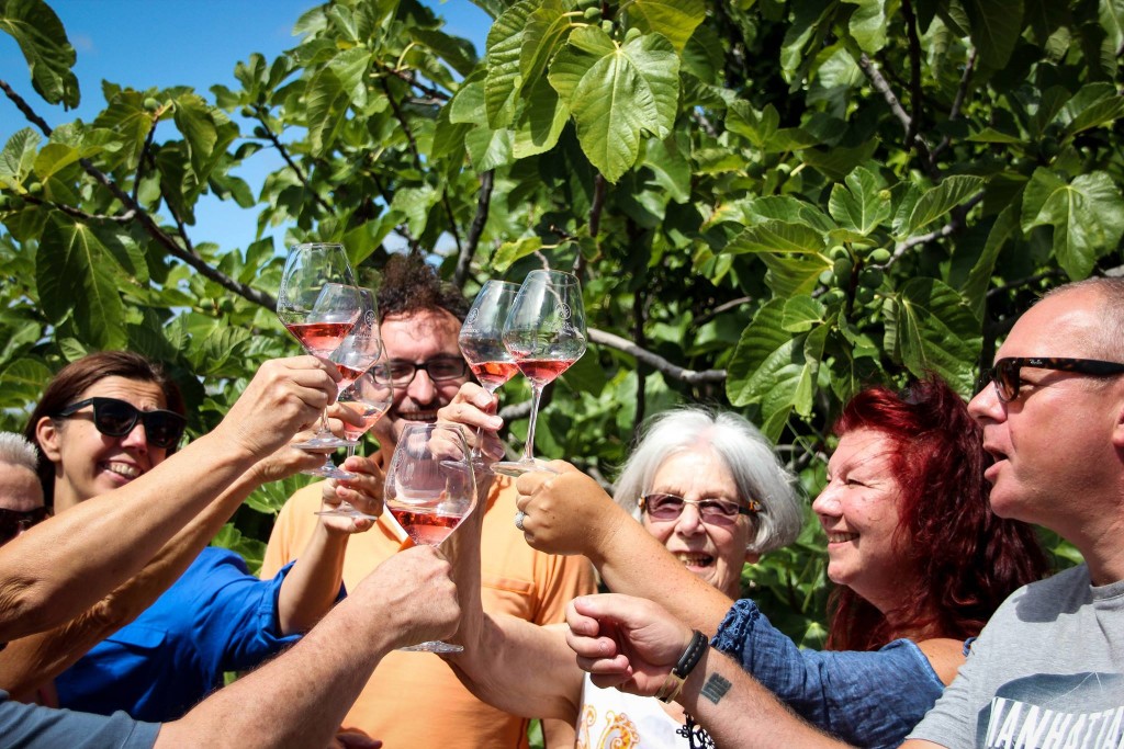 Southern France wine tours