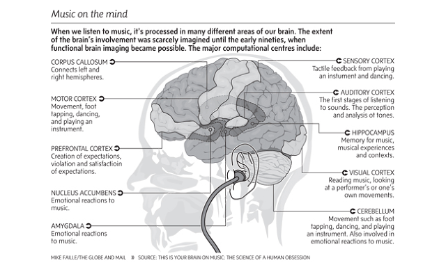 Your Brain On Music 
