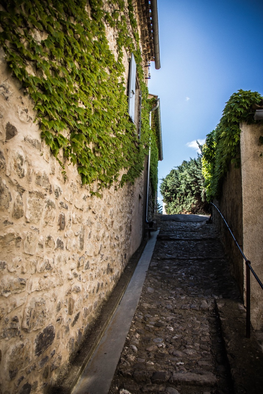 Carlos takes us on a tour of Lagrasse 