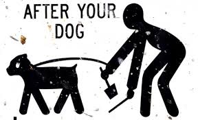 clean up after your dog